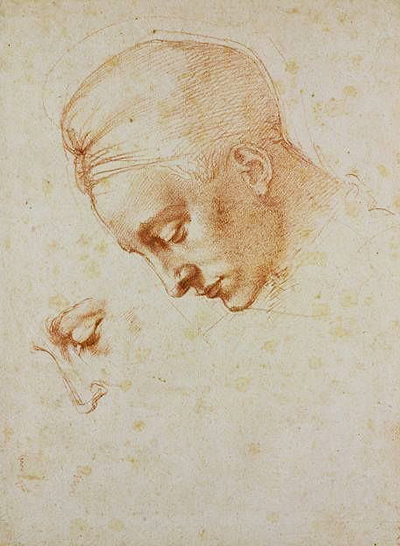 Leda and the Swan Michelangelo